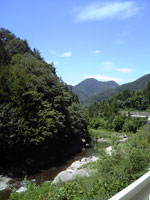 渓流では川遊びを楽しむご家族連れが一杯でした〜