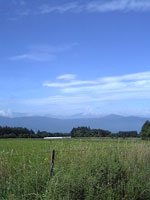 遠くの山並みを見ながら歩きます