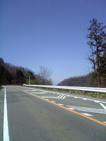 国道411