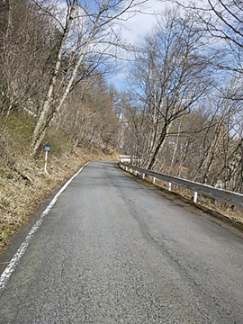 標高が高くなると景色が冬の様