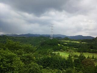 降ってきた〜