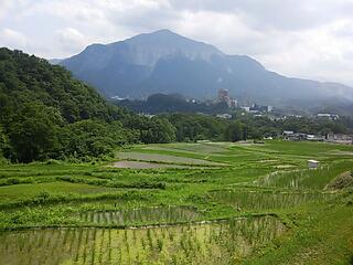 横瀬の棚田